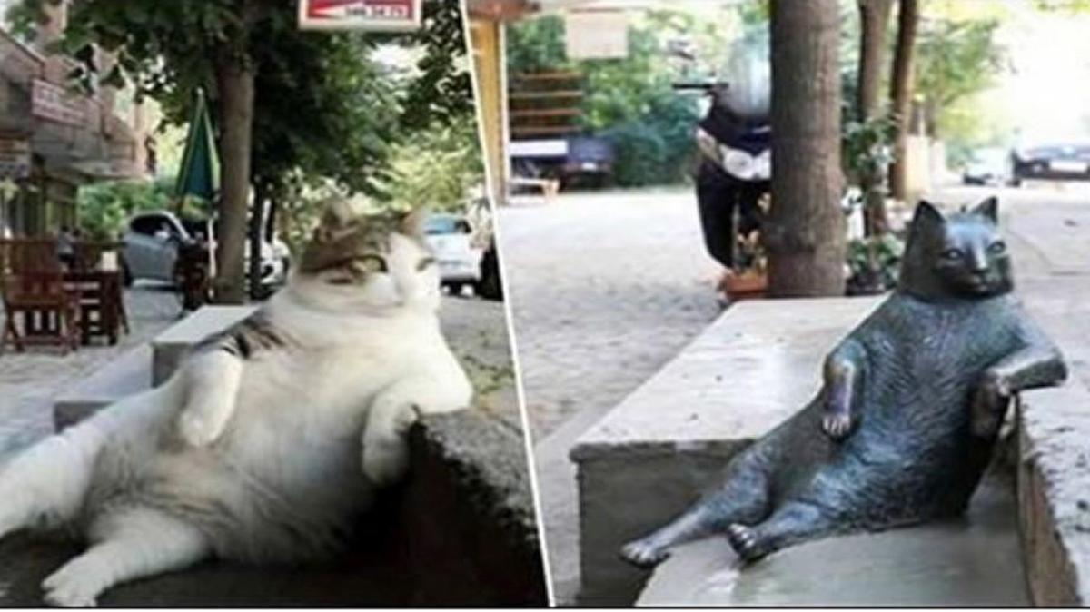 The late, great Tombili, the fat cat of Istanbul, has his own statue now.