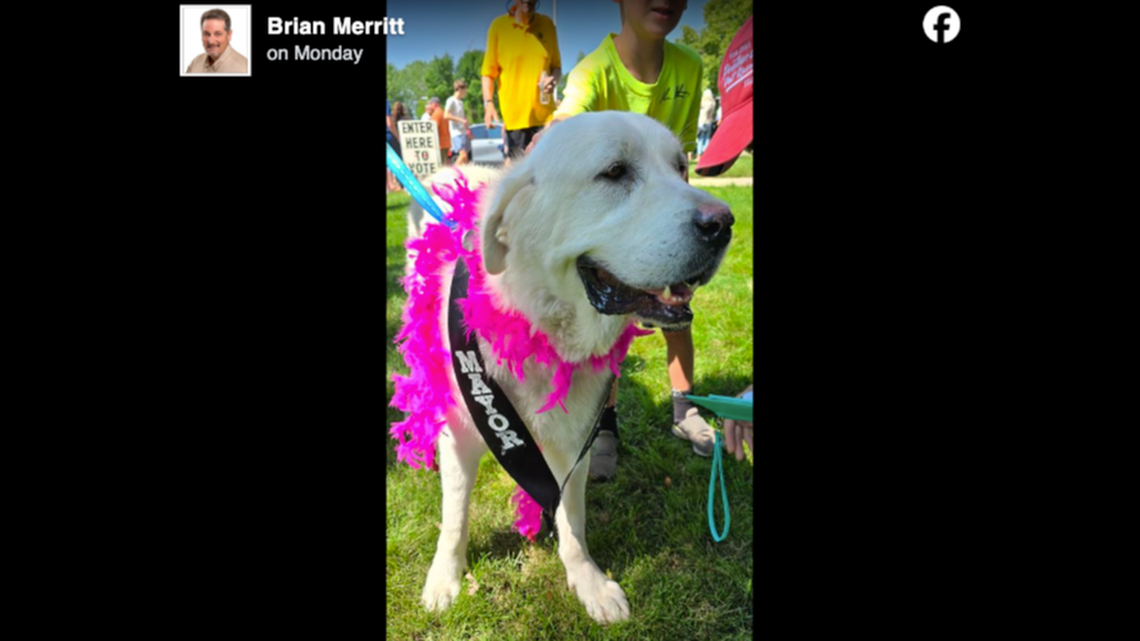 A dog named Khaleesi was elected as honorary mayor of Cormorant, Minnesota.