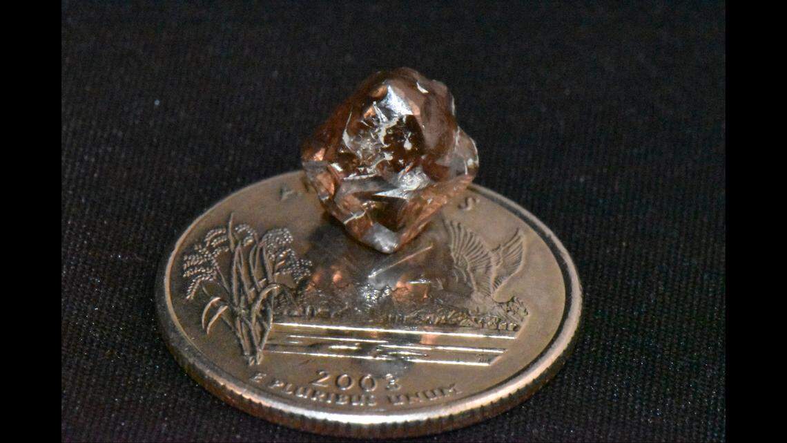 A man visiting from Paris found the diamond in the mud.