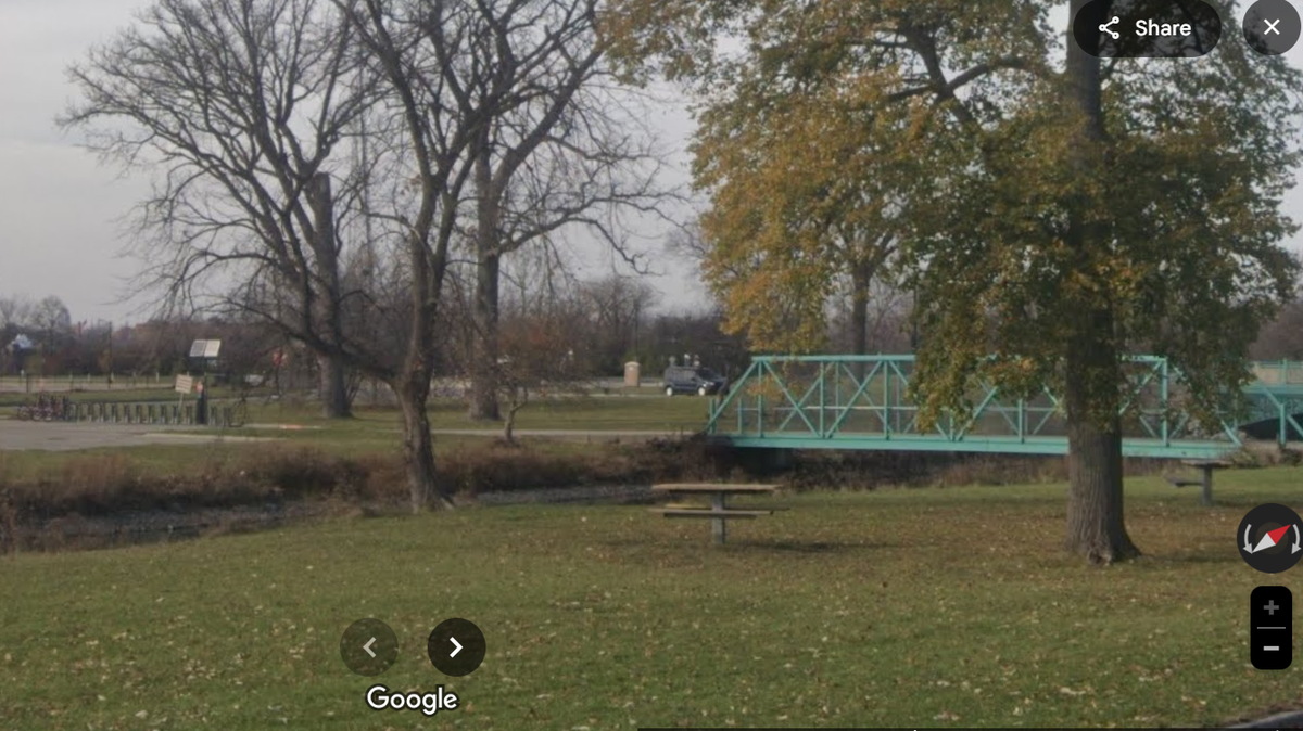 A 6-year-old boy drowned in a Michigan river during a family reunion, police say.