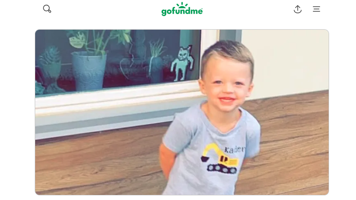 A 3-year-old boy drowned at his family member’s Illinois home, authorities say.