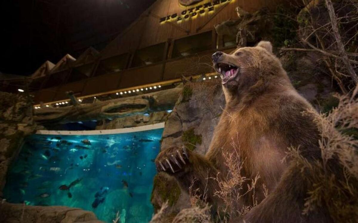 A teenager jumped into the giant freshwater aquarium at a Bass Pro Shops in Denver on Saturday. This one is at a Bass Pro in Memphis.