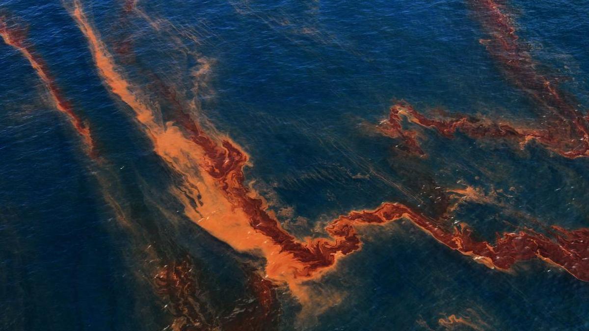 In May 2010, a month after the Deepwater Horizon oil spill began, oil and dispersant colored the surface of the water in the Gulf of Mexico. Six years later, scientists are still discovering effects from the spill.