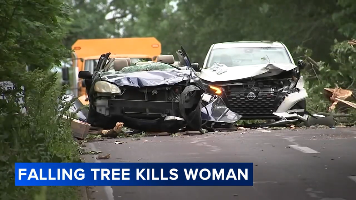 A woman in Pennsylvania is dead after a tree fell on her car while she was driving, police say.