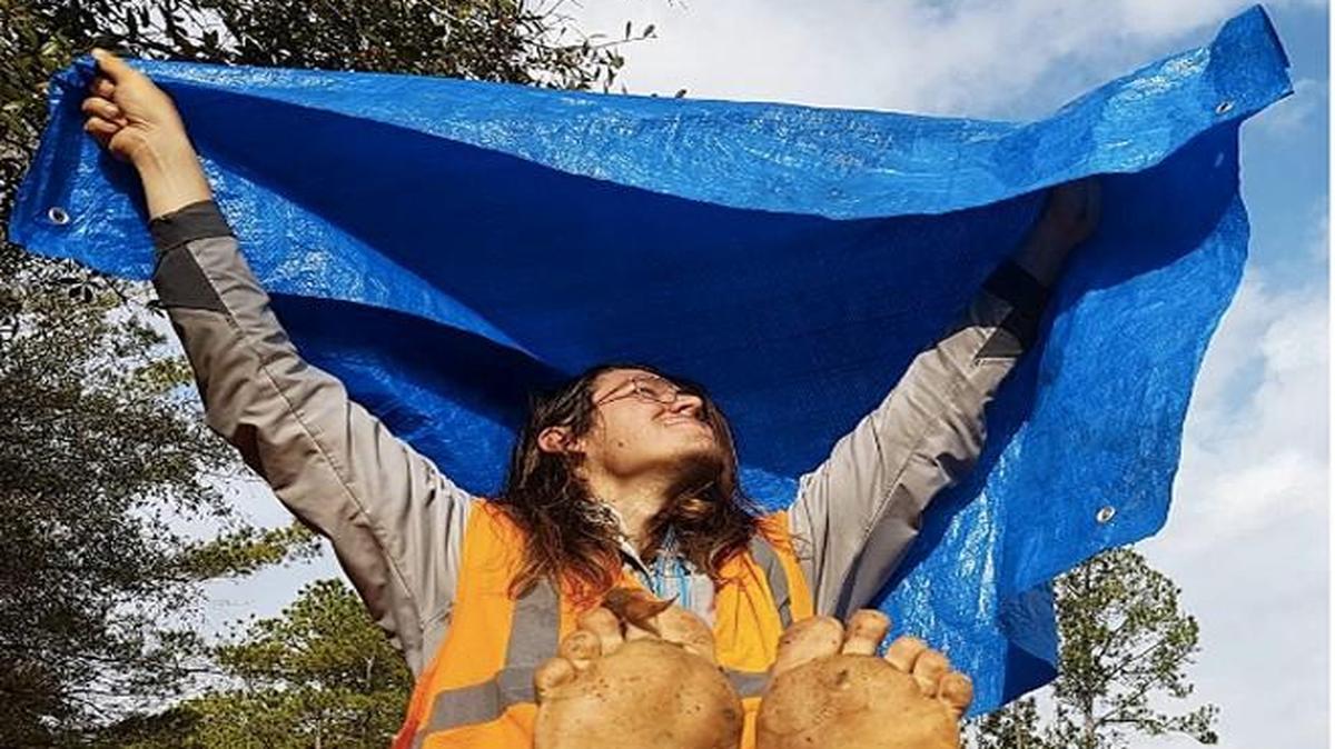 Green activist Mark Baumer died on a Florida highway Saturday.