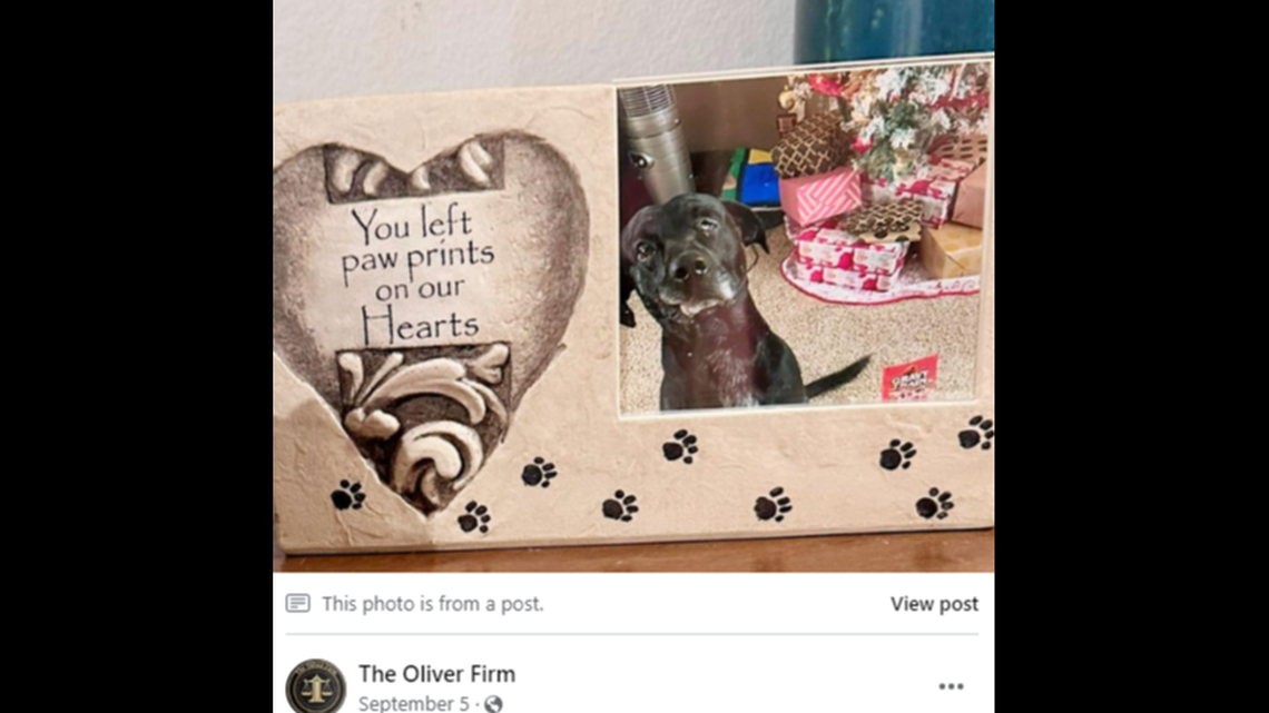 A lawsuit filed in federal court accuses a now-former Missouri deputy of shooting and killing a family’s dog after it got lost during a storm.