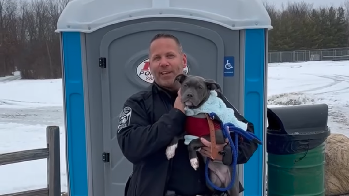 A dog named Hank was abandoned in a porta-potty in a Michigan park, authorities say.