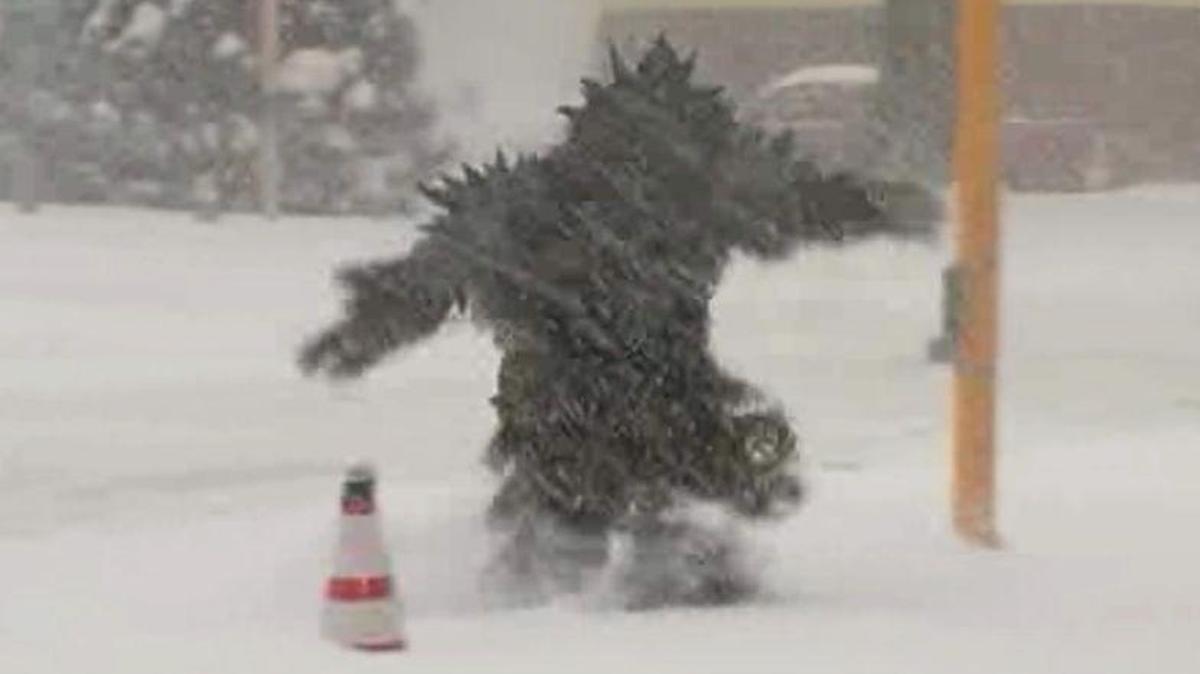 Bigfoot? Is that you?