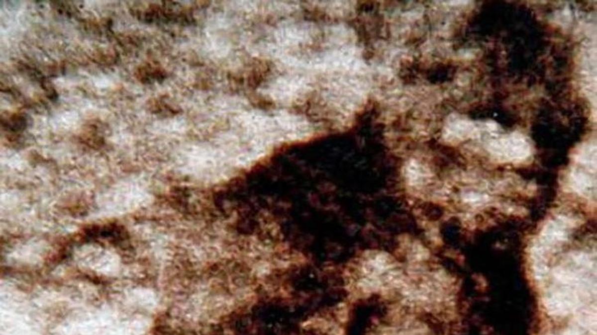 An Idaho woman says she saw a sasquatch in her mirror before crashing last week.