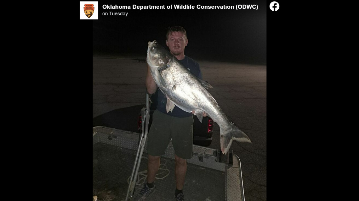 An Oklahoma fisherman reeled in a record-breaking fish, which state officials say is also a menace.