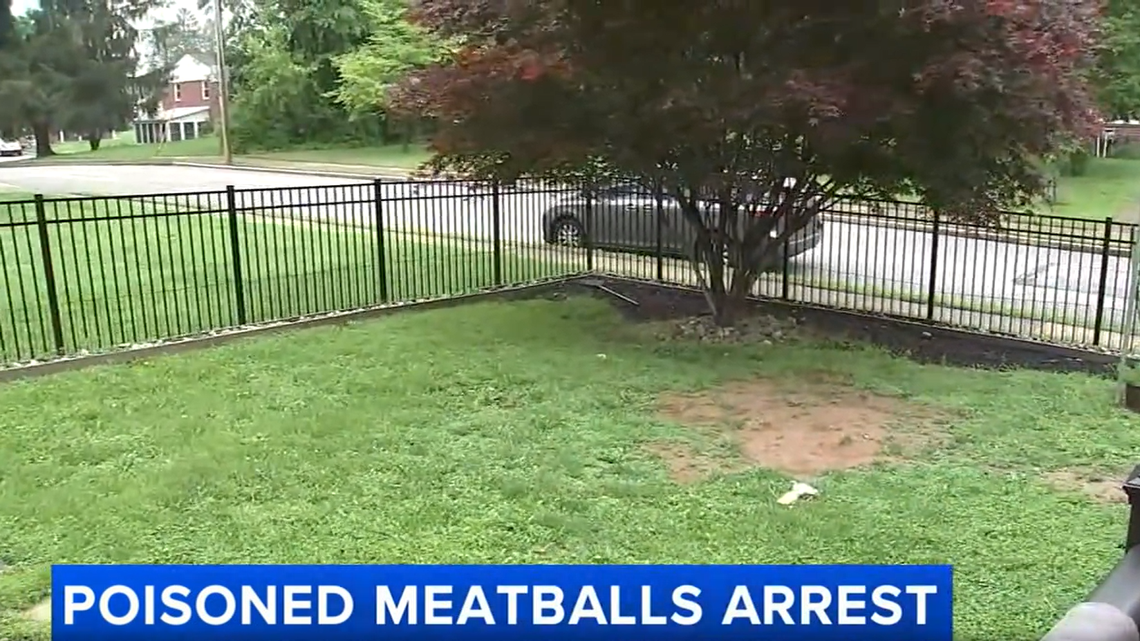 A Pennsylvania man is accused of throwing poison-filled meatballs into his neighbor’s yard because he was upset about loud dogs.