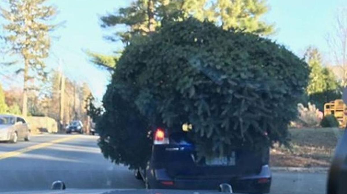 Police in Sudbury, Mass. felt compelled to issue some friendly holiday advice last week when they pulled over a vehicle with a massive Christmas tree strapped to the roof.