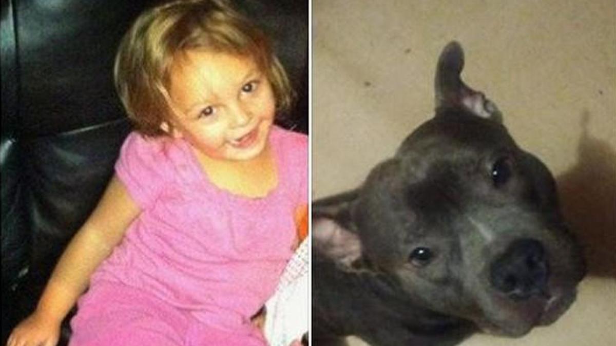 Rylee Marie Dodge, 3, was killed outside her Oklahoma home after the family’s new pit bull attacked her.