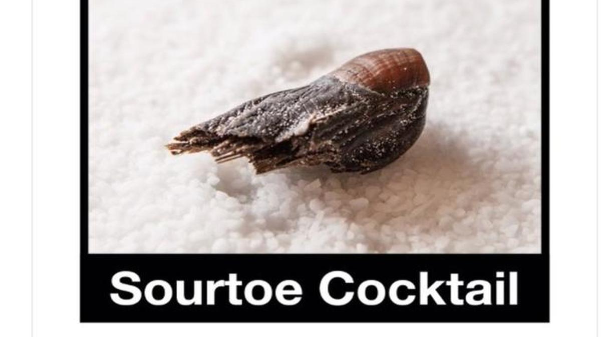 The Sourdough Saloon has reached out on Twitter for any information pertaining to its missing toe. The saloon has been serving the Sourtoe Cocktail, a whiskey shot with a mummified toe dropped inside, since 1973.