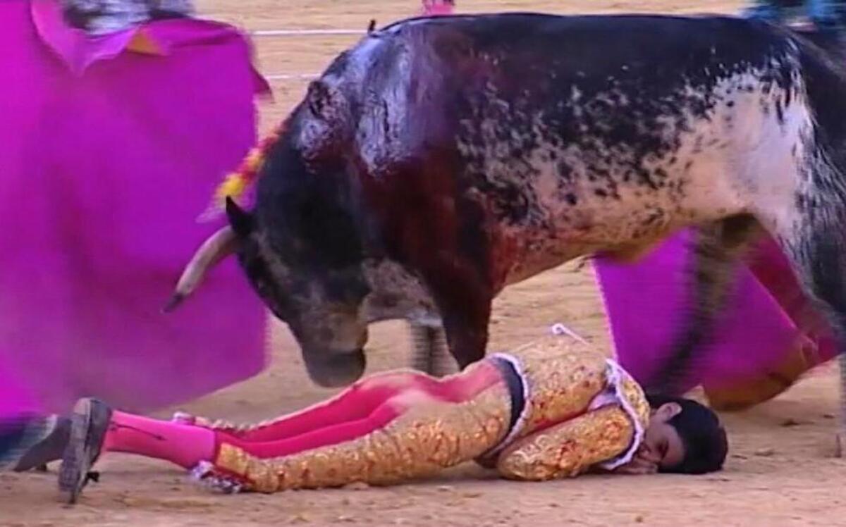 This image shows matador Victor Barrio on the ground after being gored by a bull in the Teruel bullring on Saturday in Spain.