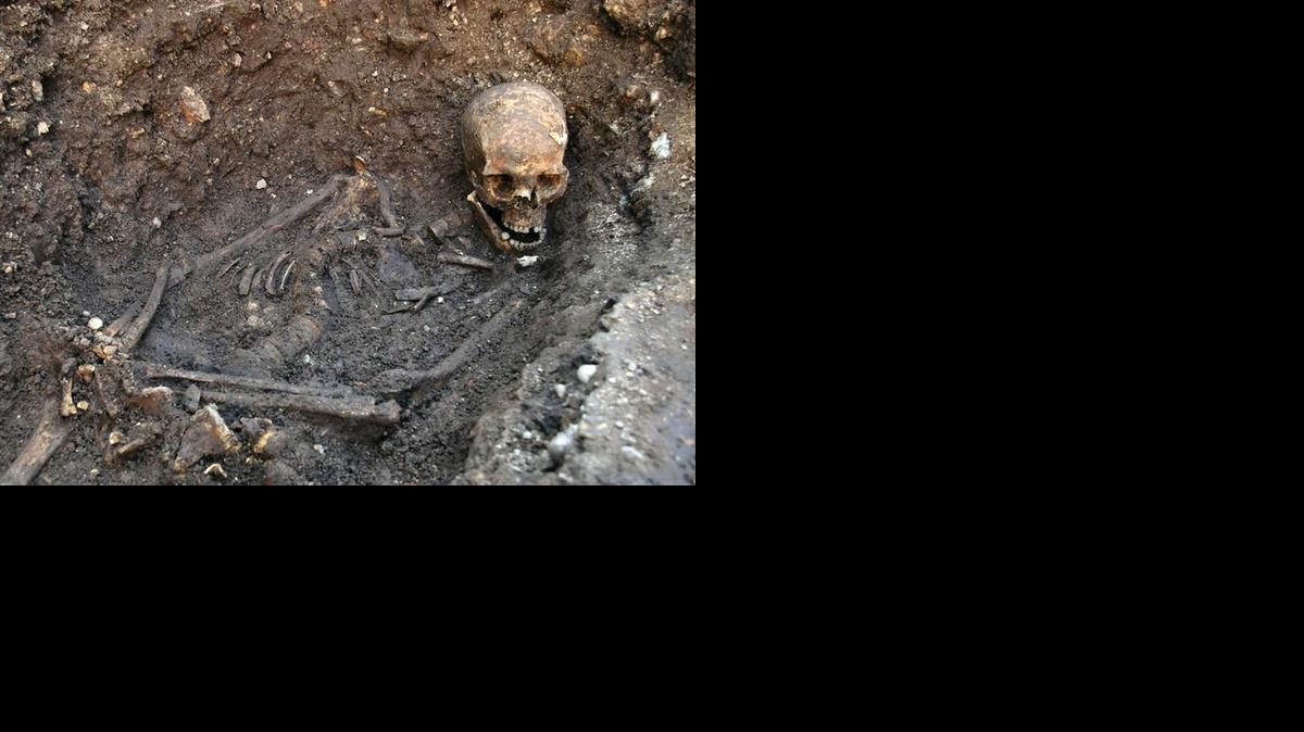 
The skeleton found underneath a car park in Leicester, England
