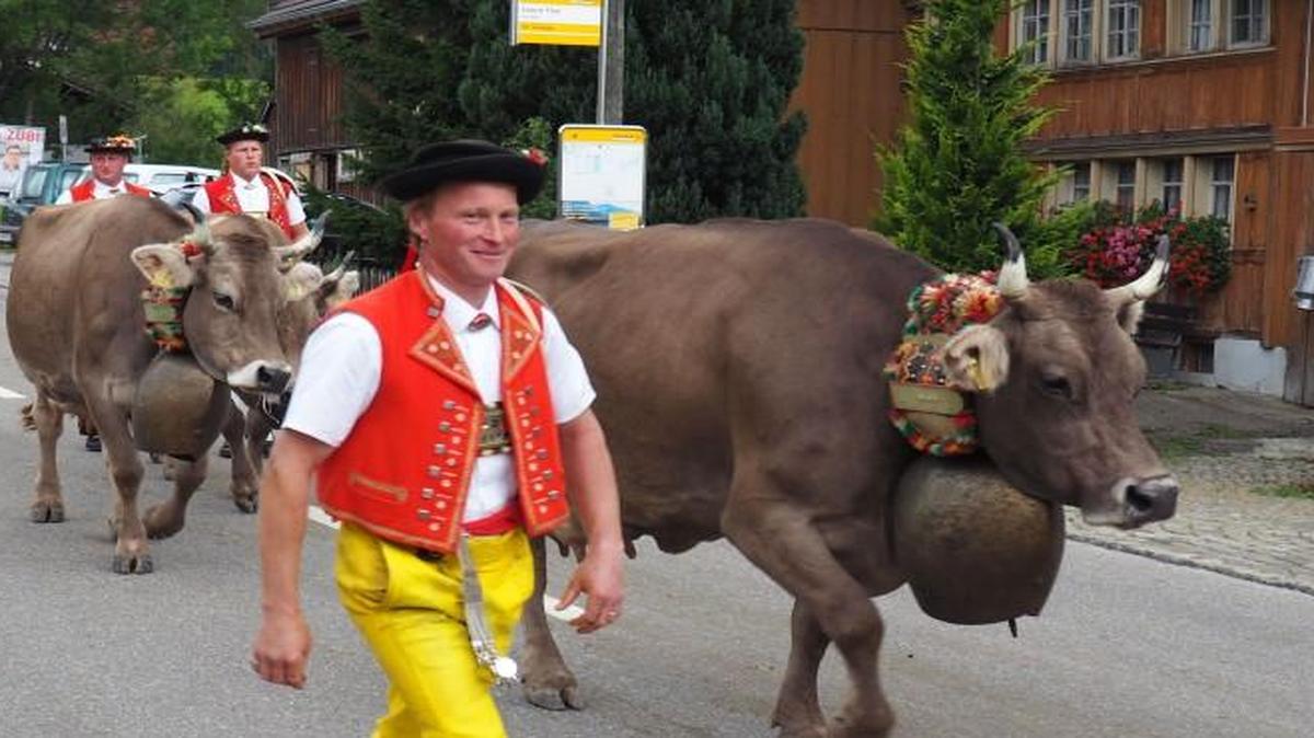 A Dutch woman living in Switzerland, who has campaigned against the use of cowbells, has been denied citizenship twice by her neighbors. This Sept. 19, 2015, photo shows men in local costume taking part in the Swiss Alpabzug, a celebration of the descent of dairy cows and goats from high Alpine pastures, in Urnaesch, Appenzellerland, in Switzerland.