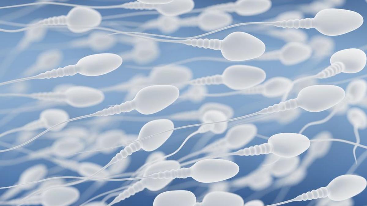 A clinical trial to begin in April 2018 to test a male contraceptive gel is said to be the largest effort in the United States to test a hormonal type of birth control for men.