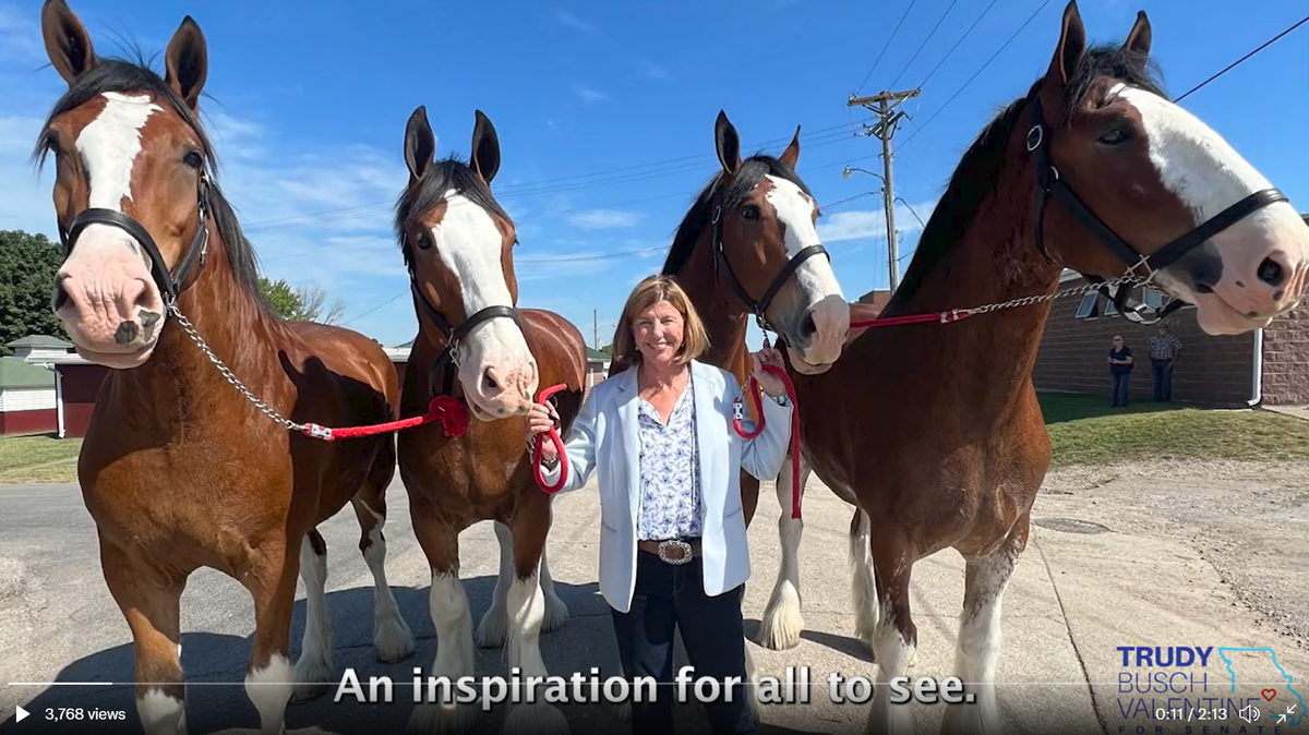 Missouri Democratic Senate nominee Trudy Busch Valentine posted a karaoke music video to accompany a song written by a group of supporters. It features a shot of her alongside Clydesdales, the breed of horse that has served as a symbol for Budweiser.