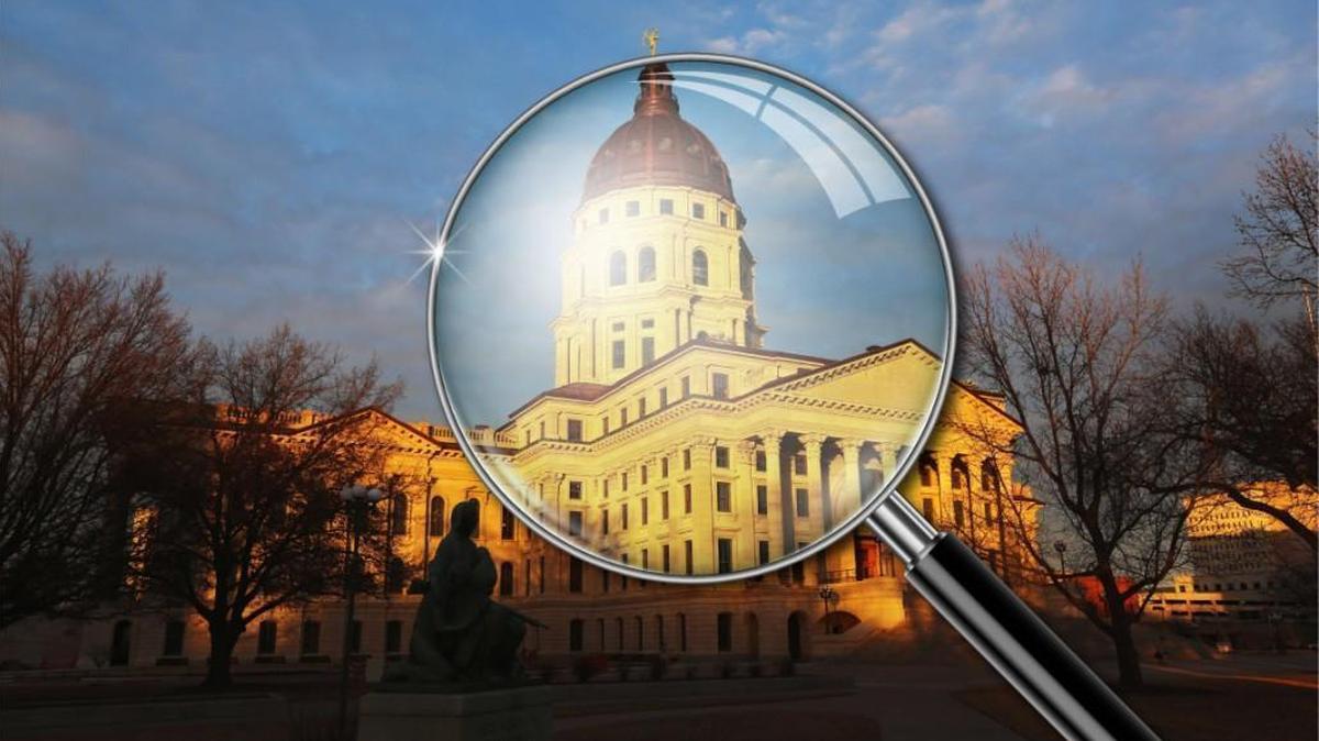 Republican state Sen. Dennis Pyle is proposing creation of an elected auditor’s position — but it would expire after one term if the auditor failed to uncover enough waste, fraud and abuse to pay the office’s bills.
