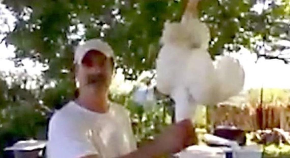 This screen grab shows Missouri state Rep. Mike Moon just before he beheads a chicken. Moon posted a video of the beheading while making a call for supporters for his anti-abortion bill.