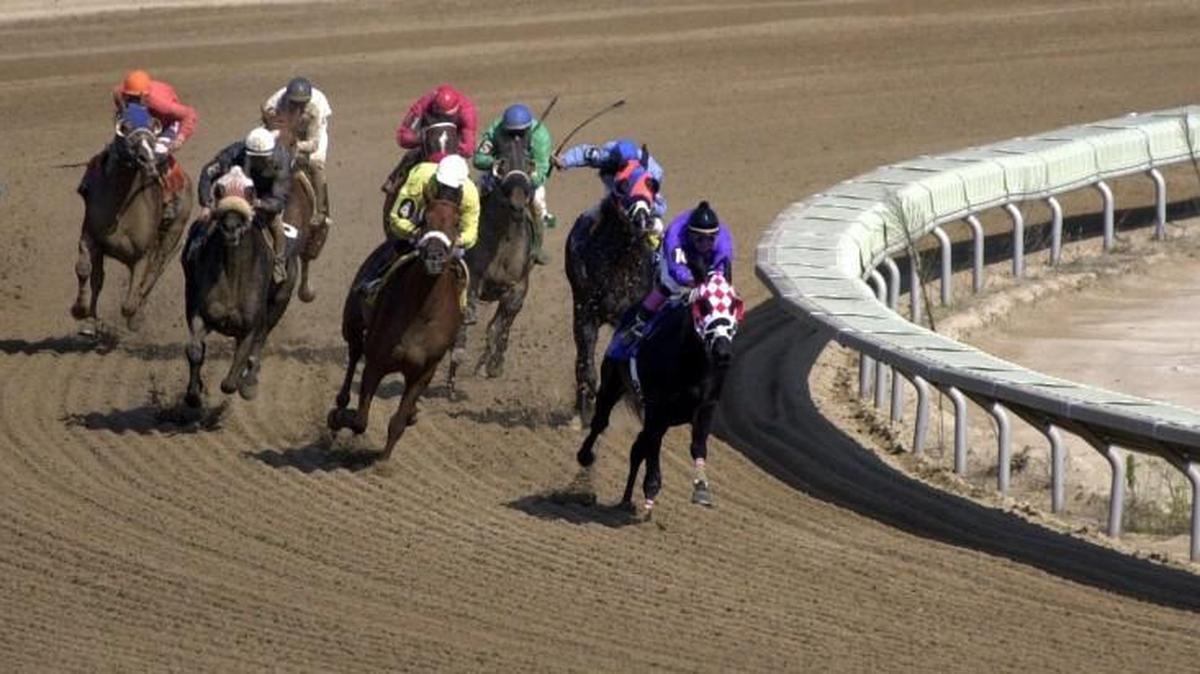 The Woodlands opened in 1989 as a dog track, but had added horses the following year.