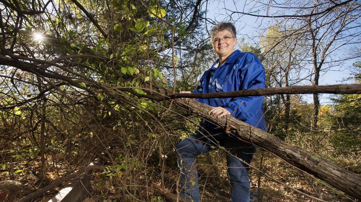 Jackson County’s purchase of an inactive rail corridor could open the way for a Katy Trail connection to Kansas City. These railroad tracks from the old Rock Island Line run right behind the Raytown Chamber of Commerce, yet they’re nearly invisible amid all the foliage. But chamber president Vicki Turnbow is able to show where the tracks are. The building is at 5909 Raytown Trafficway.