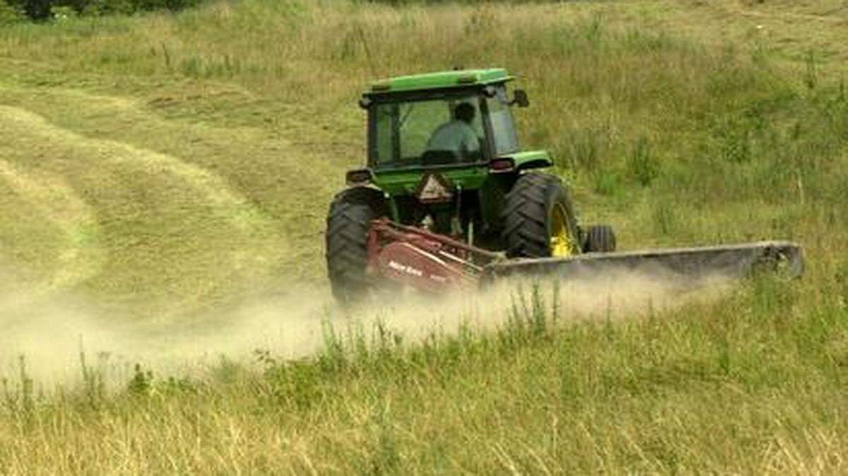 
Missouri voters will be asked in August whether a “right to farm” amendment  should be added to the state constitution.
