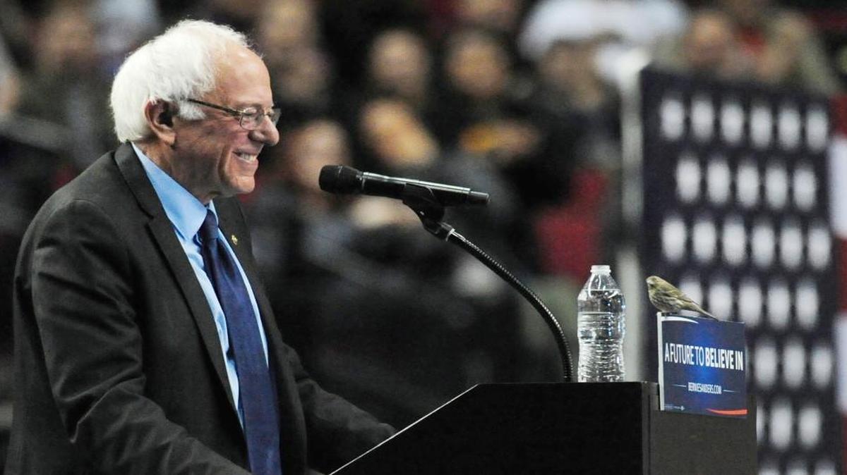Democratic presidential candidate Sen. Bernie Sanders smiled as a bird landed on his lectern during a rally Friday at the Moda Center in Portland, Ore.
