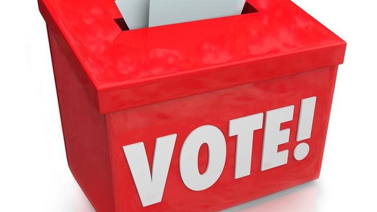 
Daniel P. Pflumm and Michelle Distler advanced to the April 7 general election for Shawnee mayor. Roeland Park narrowed the field of candidates for two council seats. Other primaries involved the Olathe School District and the Unified Government board.
