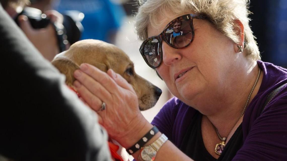 The Kansas City park board on Tuesday approved Swope Park land for a new animal shelter. Animal lovers say it’s needed to replace an antiquated facility on Raytown Road. At an event last week promoting the proposal, Kansas City Councilwoman Teresa Loar gave some extra attention to Lambykins, a year-old beagle.
