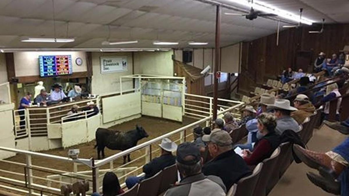 A lone heifer raised more than $90,000 to help Kansas farmers and ranchers affected by the wildfire last week.