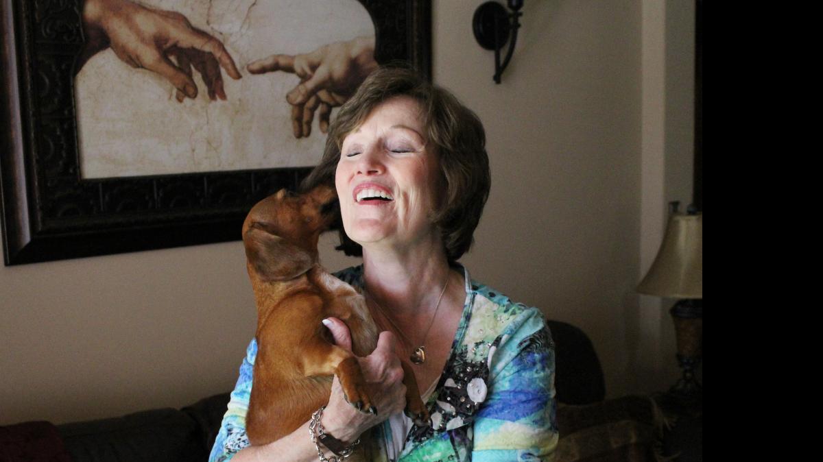 
Lucy, a 4-year-old miniature dachshund, licks her owner Rebecca Felix’s face
