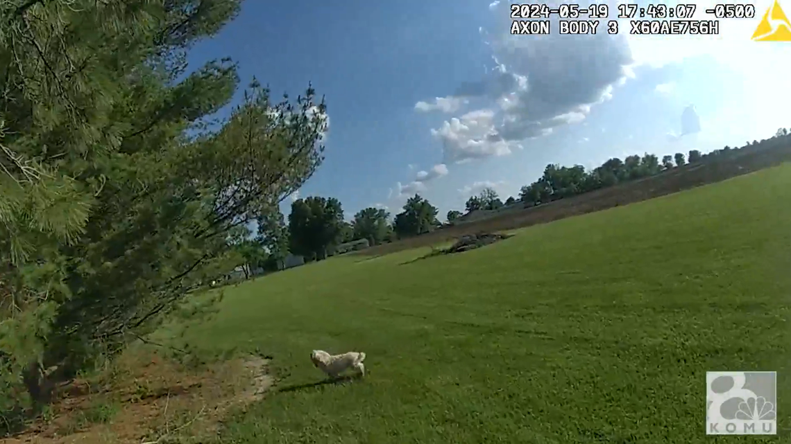 A Missouri police officer has been placed on leave after body camera footage showed him fatally shoot a small deaf and blind dog.