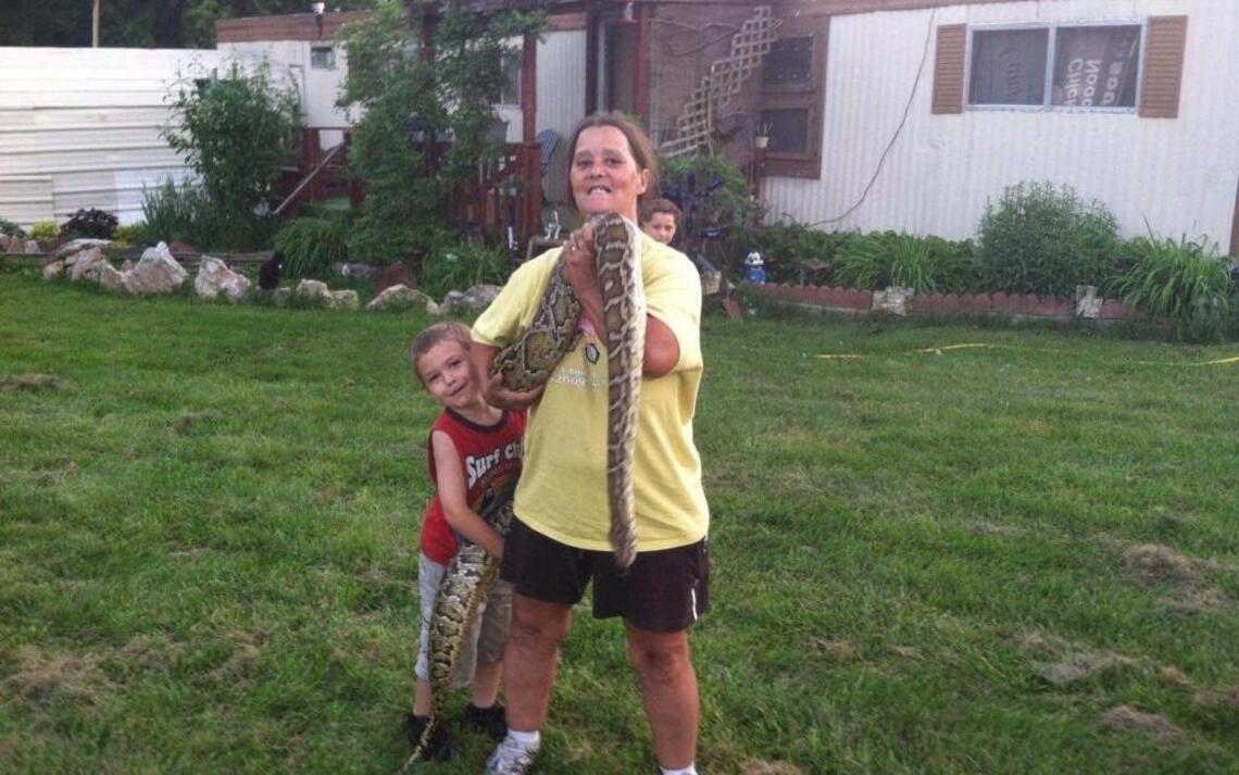 Burmese python’s escape from southwest Missouri home was highly unlikely, owner says