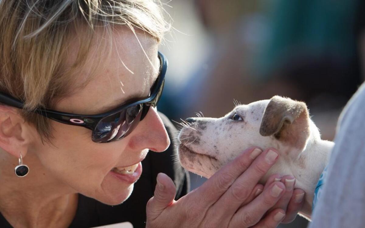 A new animal shelter is on the list of projects that would be financed with an $800 million bond plan that City Hall may seek from voters next April.