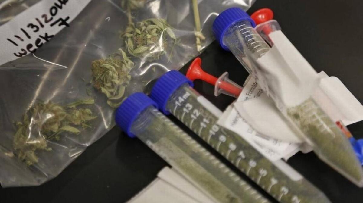 The Missouri House of Representatives passed a bill to legalize medical marijuana 112-44 Tuesday. It now goes to the Missouri Senate.