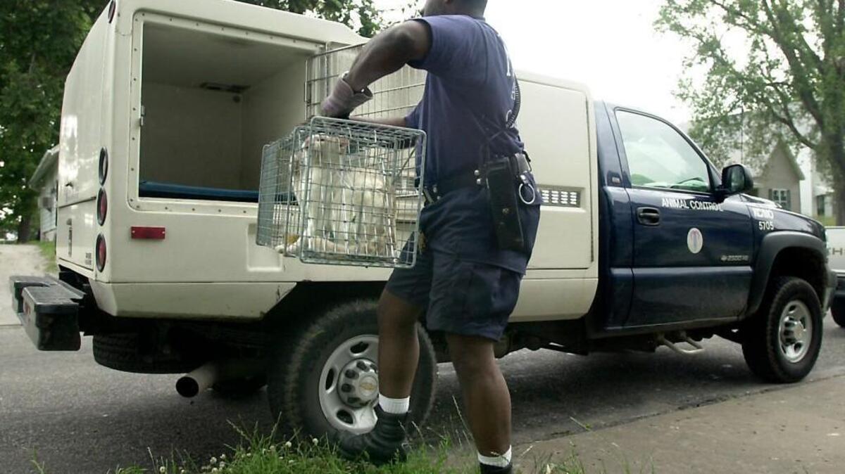 A new audit finds deficiencies in Kansas City’s animal control efforts. City Hall should pay close attention to the report, and find ways to hire more officers — who face a difficult, thankless task each day.