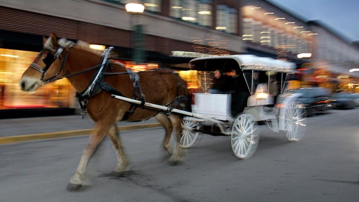St. Louis considered banning horse-drawn carriages, and state legislators stepped in to block cities from making that choice. Lawmakers should stop the nonsensical meddling.