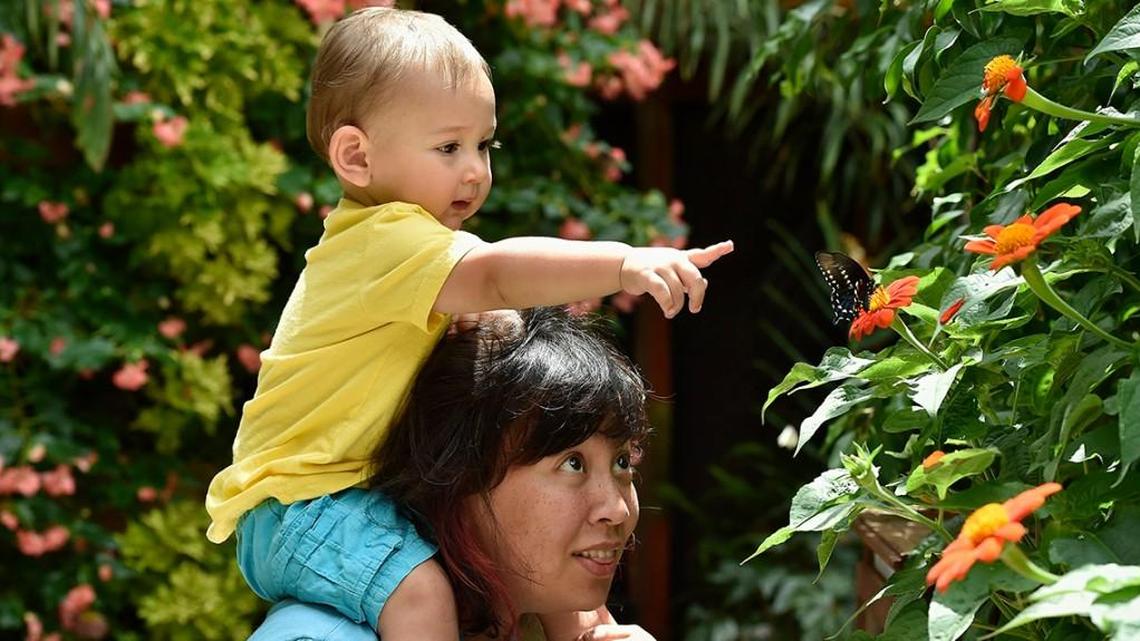 Powell Gardens has earned its reputation as a well-run, beautiful destination for Kansas City and the region.