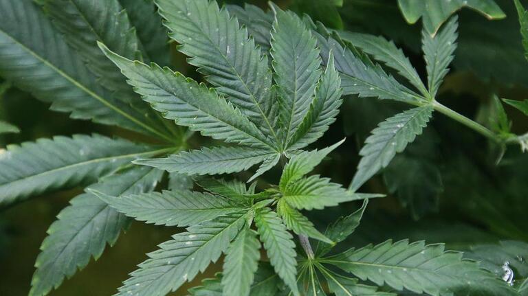 Weed consumption lounges not coming to Sacramento for now