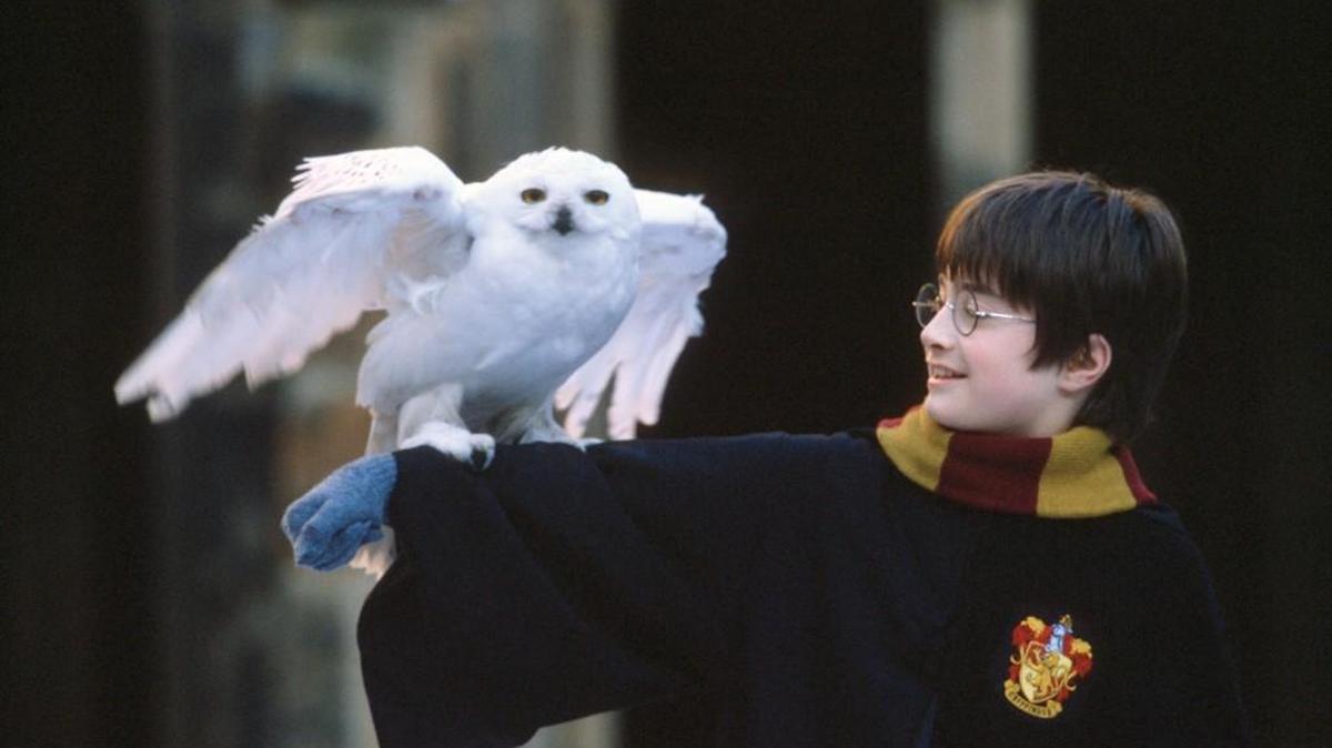 J.K. Rowling’s work was selling like gelato in July well before the Vatican’s longtime chief exorcist, Father Gabriele Amorth, told reporters that ‘Harry Potter hides the signature of the king of the darkness.’” writes Melinda Henneberger