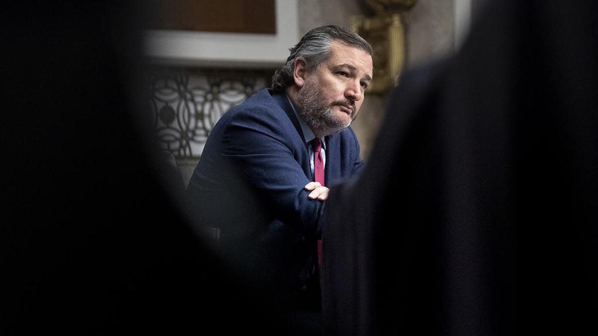 Sen. Ted Cruz said Thursday that the Democrats’ request that former President Donald Trump testify at his own impeachment trial next week is “partisan theater.”