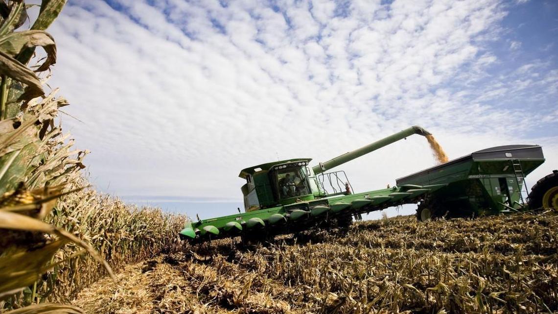 Corn grown for ethanol is a big thing in Iowa, but elsewhere, too — including Missouri, where this cornfield in Marshall, Mo., was harvested for ethanol production.