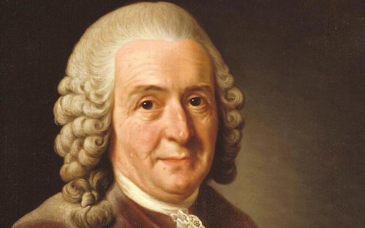Carolus Linnaeus in 1758 declared that humans could be divided into races he described as white (European), red (Native American), black (African) and yellow (Asian). He also attributed various unflattering personality traits to all the races except for whites.