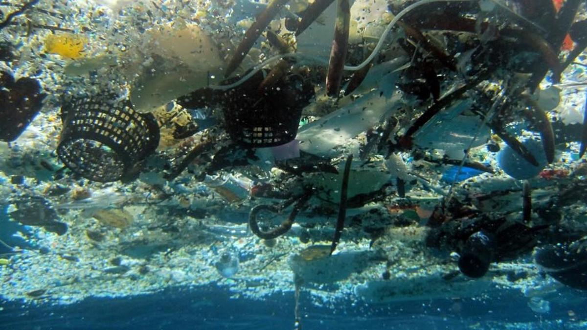 8 million metric tons of plastics enter the oceans in a given year.