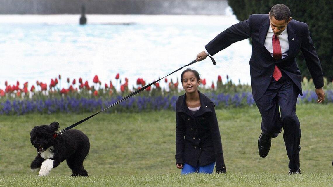 Bo Obama’s passing is a reminder of the loving mark our dogs leave on our hearts