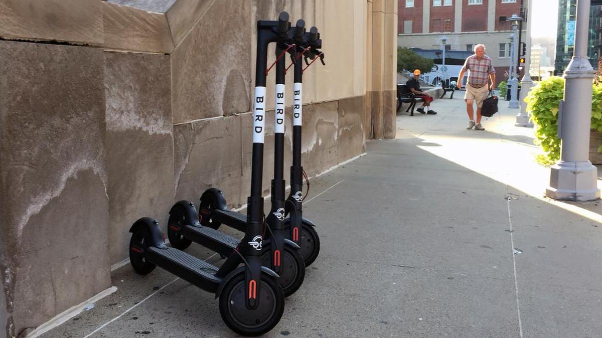 Bird electric scooters are coming to Prairie Village on a one-year trial basis.