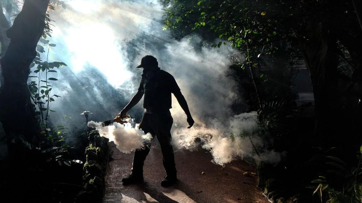 Fran Middlebrooks, a groundskeeper at Pinecrest Gardens in Miami, uses a blower to spray pesticide to kill mosquitoes.