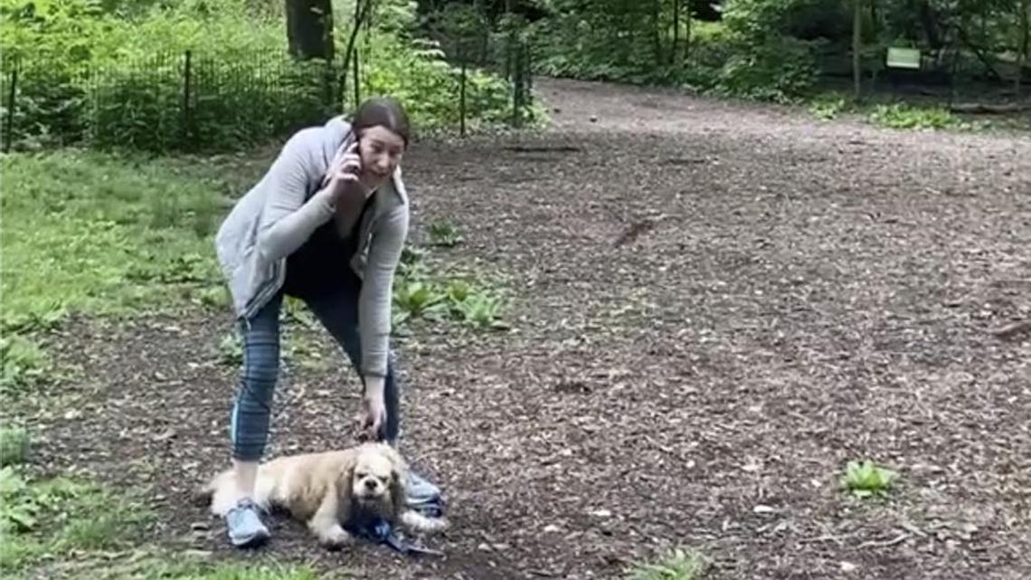 This image made from Monday, May 25, 2020, video provided by Christian Cooper shows Amy Cooper (no relation) with her dog calling police at Central Park in New York. A video of a verbal dispute between Amy Cooper, walking her dog off a leash and Christian Cooper, a black man bird watching in Central Park, sparked accusations of racism. (Christian Cooper via AP)